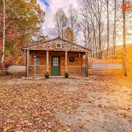 Poppa Bear Cabin At Gr Smoky Mtn Park! 3Mi To Town